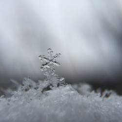 We Deserve This : Stories